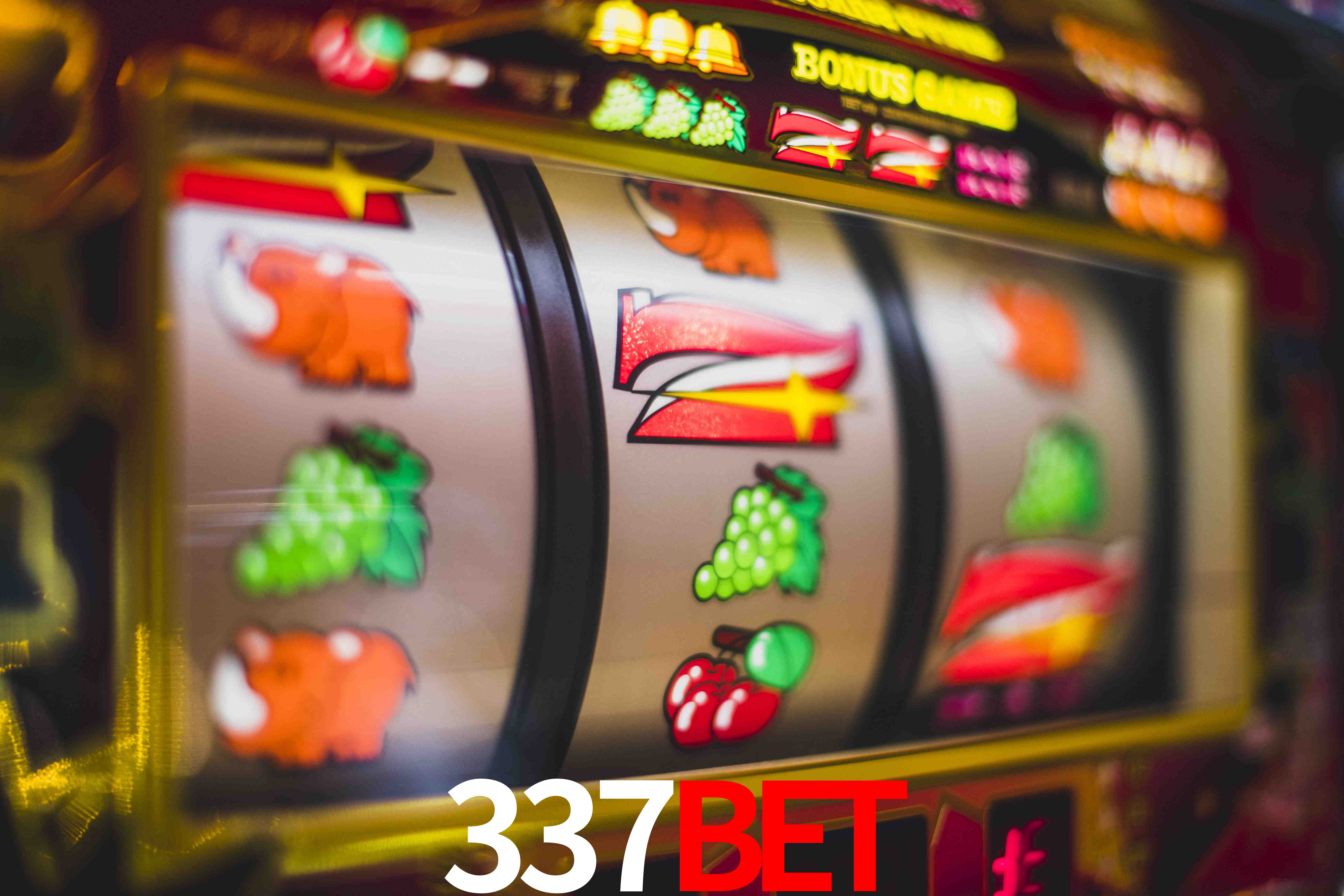 Live Casino 337BET